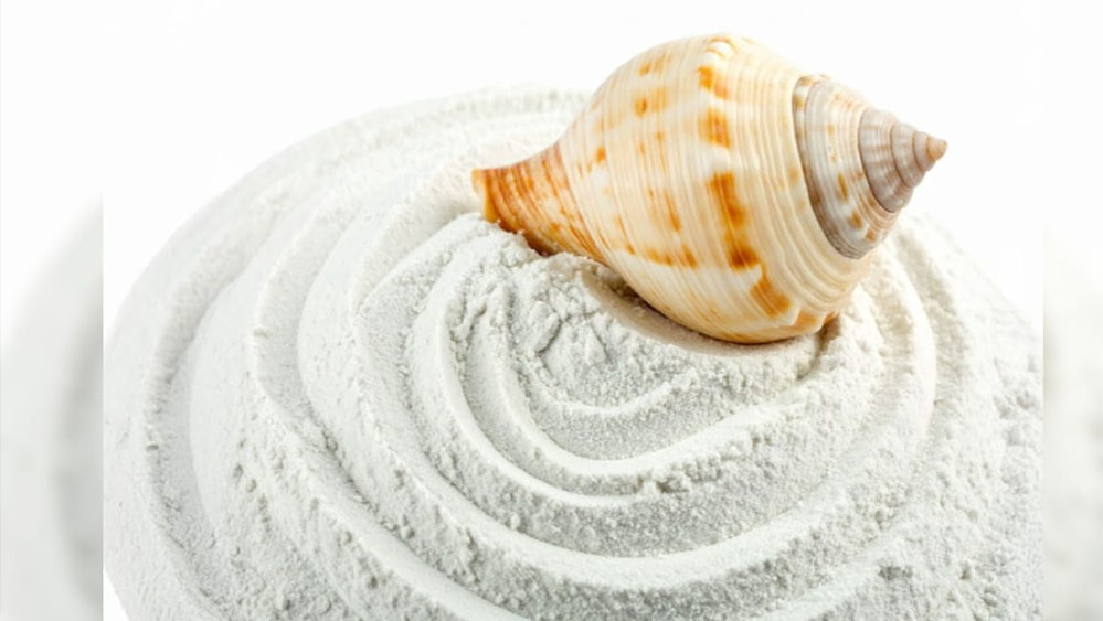 शंख भस्म: हड्डियों और जोड़ों के लिए अमृत, कैल्शियम से भरपूर लाभकारी तत्व