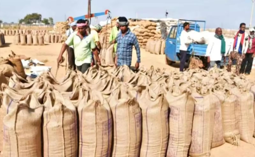 इस वर्ष समर्थन मूल्य पर 51 लाख 75 हजार मीट्रिक टन से अधिक हुई धान की खरीदी