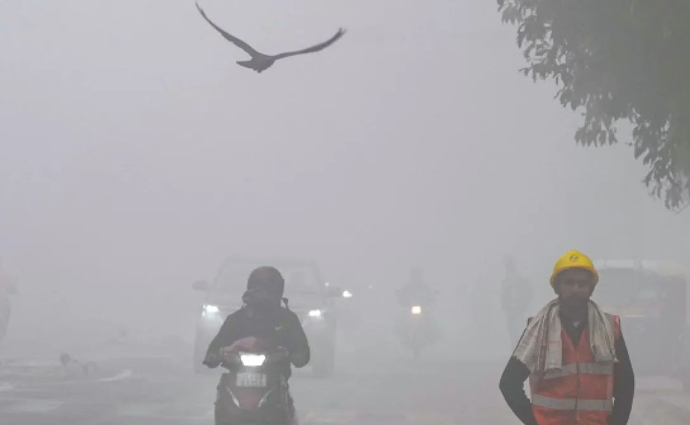 मौसम विभाग का अलर्ट: 23-24 जनवरी को 10 जिलों में बारिश और घना कोहरा, बादल आज से होंगे छाए