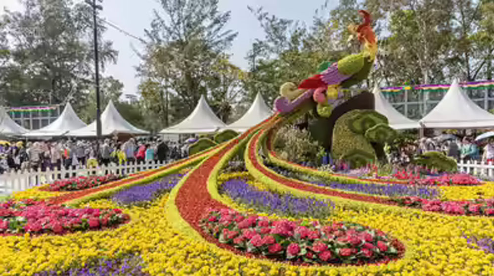 राज्य स्तरीय पुष्प महोत्सव वाइब्रेंट की थीम पर, प्रदेश में उगाए गए फूलों का होगा प्रदर्शन