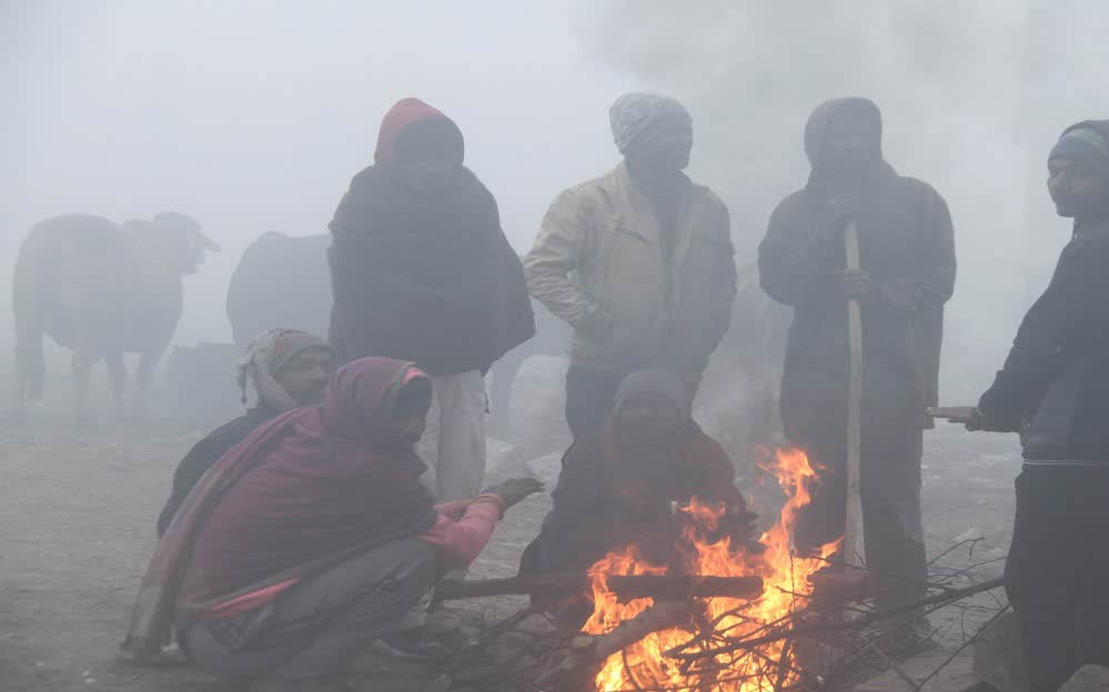 MP में नए साल के पहले दिन सर्दी ने दिखाई दांत, उत्तरी हिस्से में बादल और कोहरा, पचमढ़ी-कल्याणपुर में बर्फीली ठंड