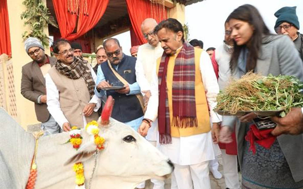 नववर्ष पर उप मुख्यमंत्री शुक्ल ने किया गौपूजन, लगाए पीपल के पौधे