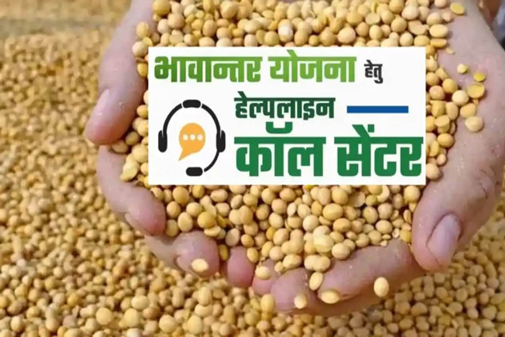 भावांतर योजना में सोयाबीन का मॉडल रेट 4458 रुपए जारी, किसानों को मिलेगा बड़ा फायदा