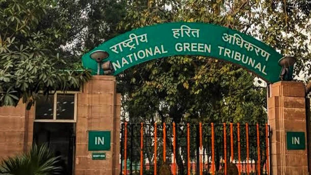 एमपी में बढ़ते प्रदूषण पर NGT की चिंता, सरकार से 8 शहरों पर 8 हफ्तों में रिपोर्ट की मांग