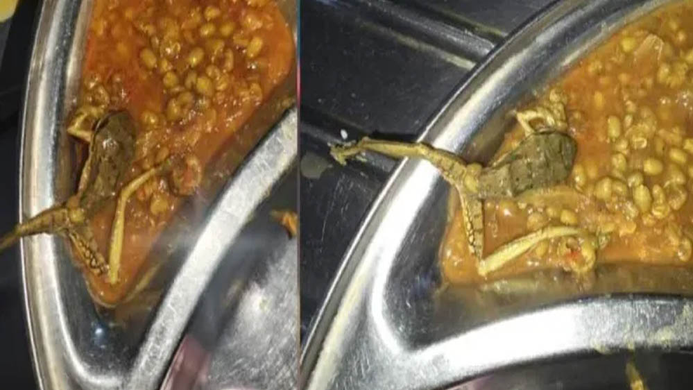 डेंटल कॉलेज मेस में मिली गंदगी, चावल में इल्ली, मरे हुए मेंढक और एक्सपायरी फूड प्रोडक्ट का इस्तेमाल