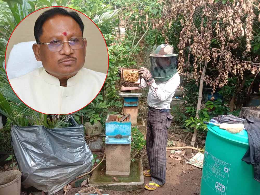 CG News: साय सरकार में खेती के साथ मधुमक्खी पालन बनीं उदय राम की रोजगार की कुंजी