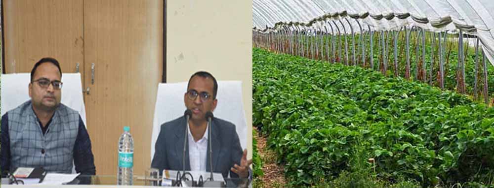 पीवीटीजी क्षेत्रों में उद्यानिकी योजनाओं के प्रभावी क्रियान्वयन पर विशेष फोकस करें: कलेक्टर वसंत