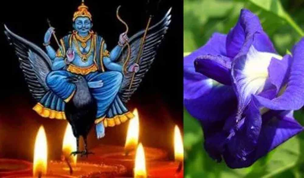 शनि की साढ़ेसाती और ढैय्या से छुटकारा दिलाएंगे खास फूल
