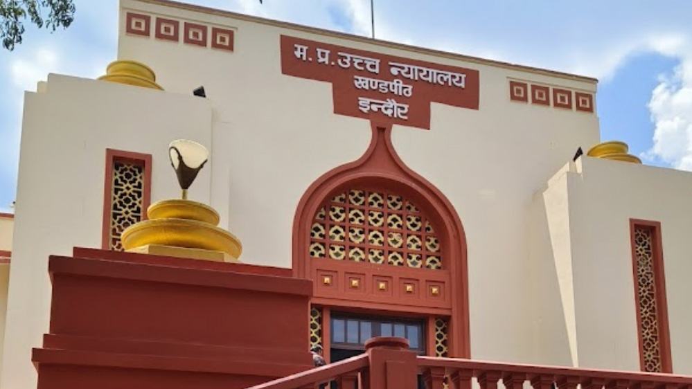 चाइनीज मांझे के खिलाफ हाई कोर्ट की कड़ी कार्रवाई, पतंगबाजी पर हो सकती है प्रतिबंध