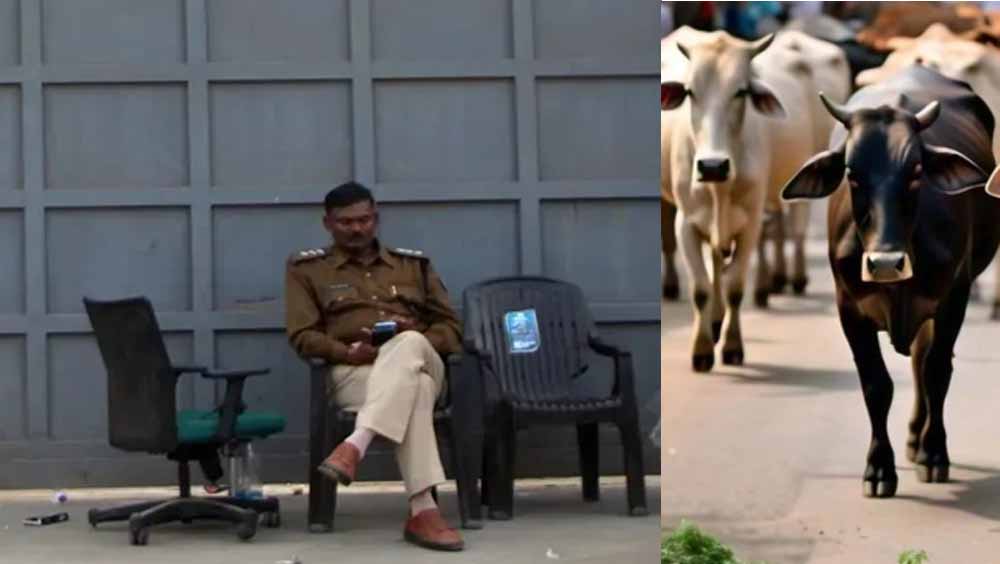 गोमांस को भैंस का सर्टिफाइड कर डॉ. बीपी गौर की मिलीभगत से खाड़ी देशों में हो रहा सप्लाई