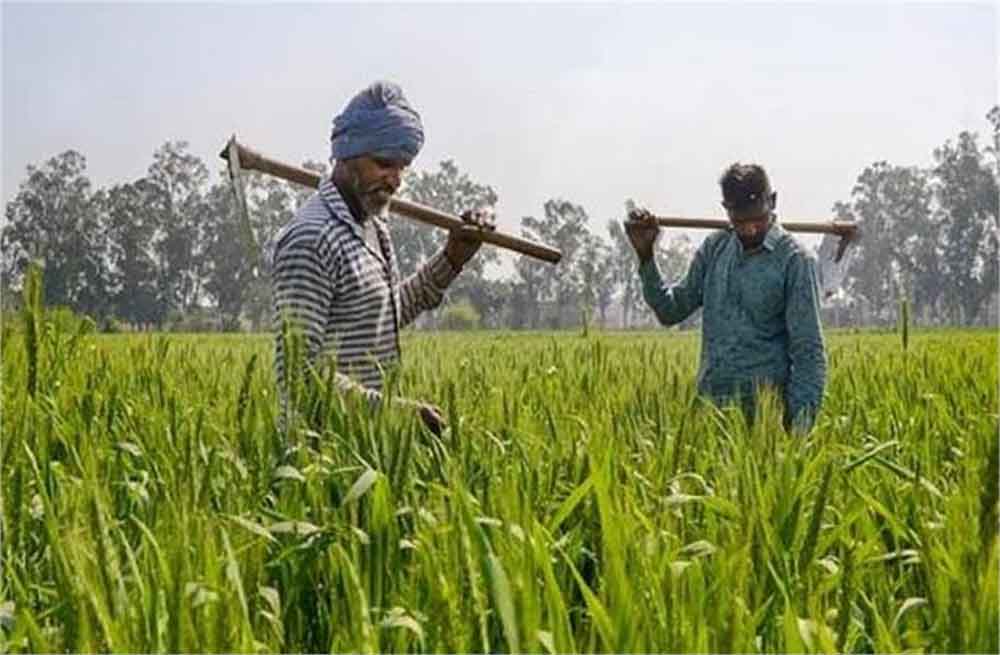 किसानों को राहत की उम्मीद: बजट 2026 में PM-KISAN की राशि बढ़ाने की तैयारी, अब मिल सकते हैं इतने हजार