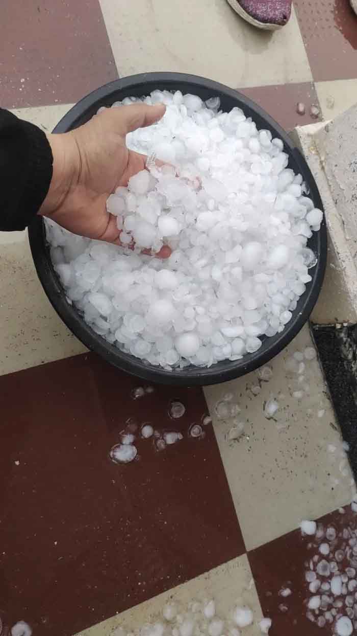 मध्य प्रदेश में ओलावृष्टि का असर, 28 जिलों में भारी बारिश-आंधी की चेतावनी