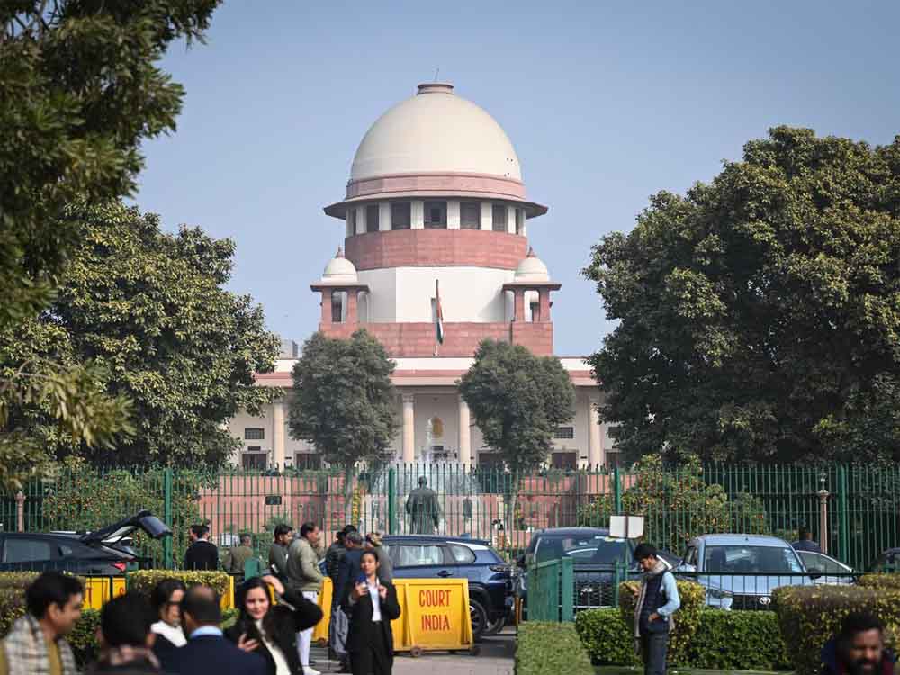 आवारा कुत्तों पर सुप्रीम कोर्ट में बहस: सिब्बल बोले– नसबंदी जरूरी, जज साहब ने ली चुटकी